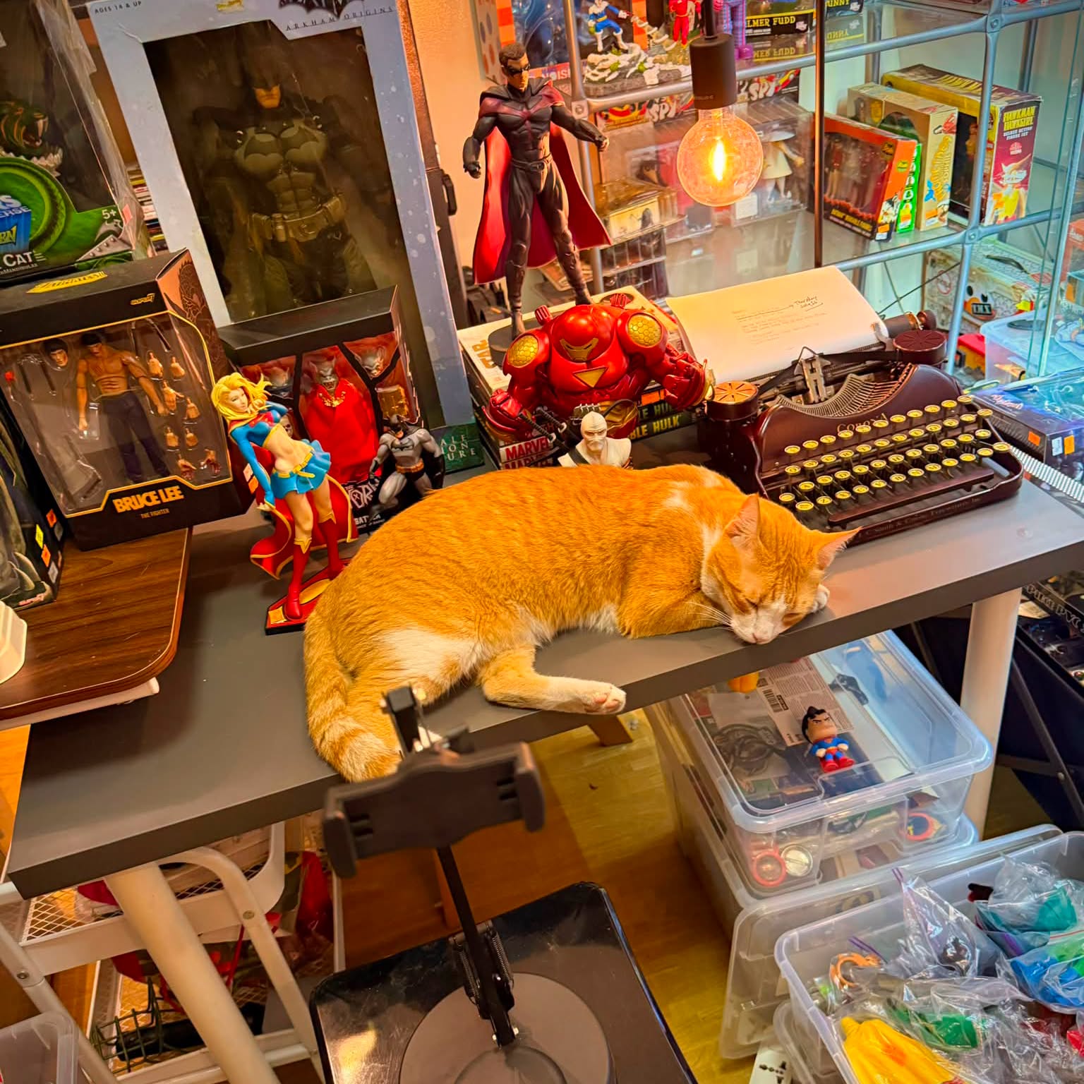 Clifford Cat on Duty