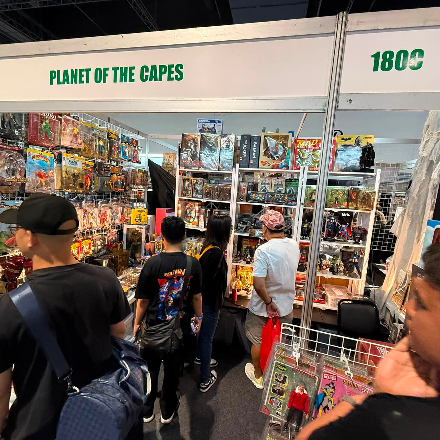 Showcase Shelves